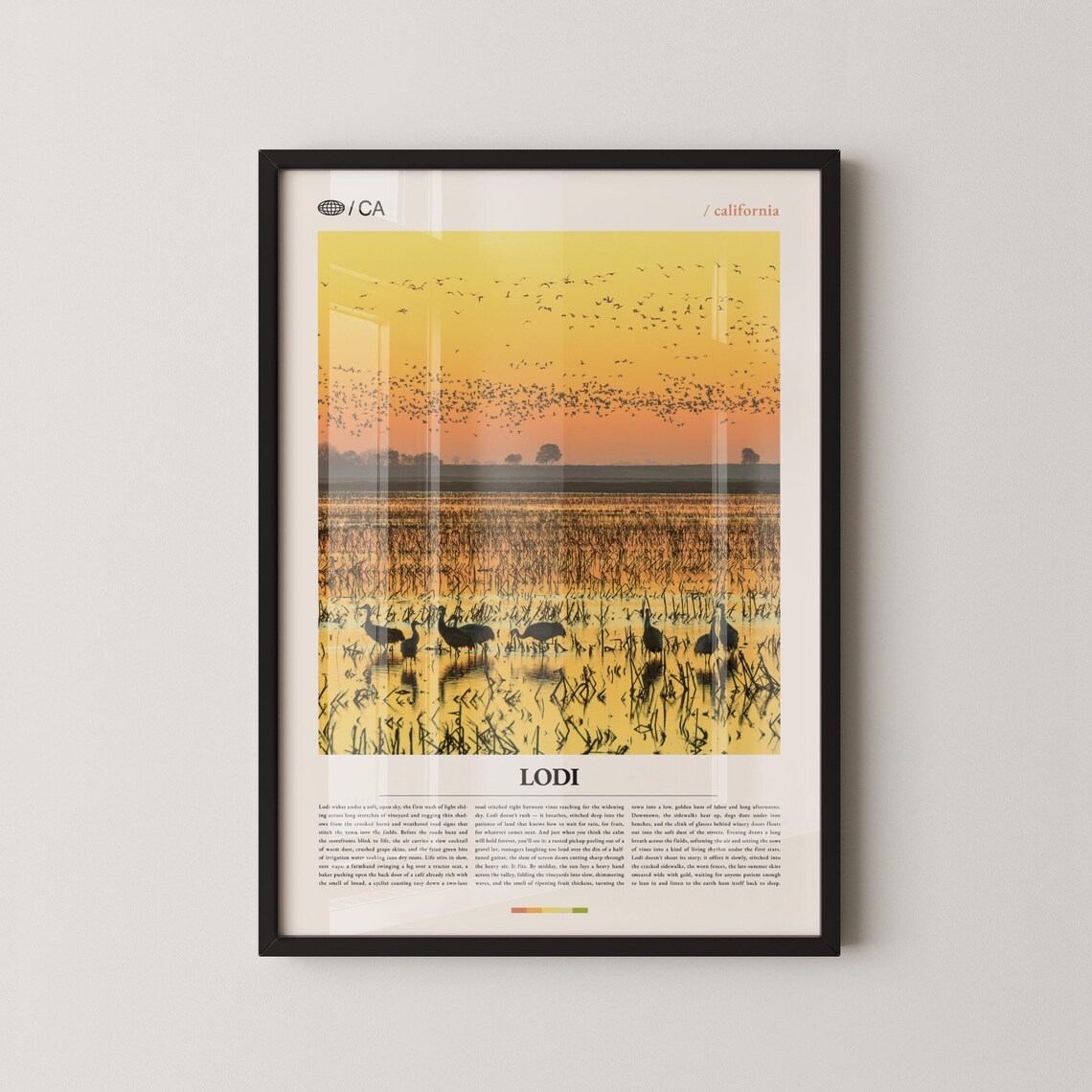 Lodi California Wetland Birds Sunset Minimalist Travel Print