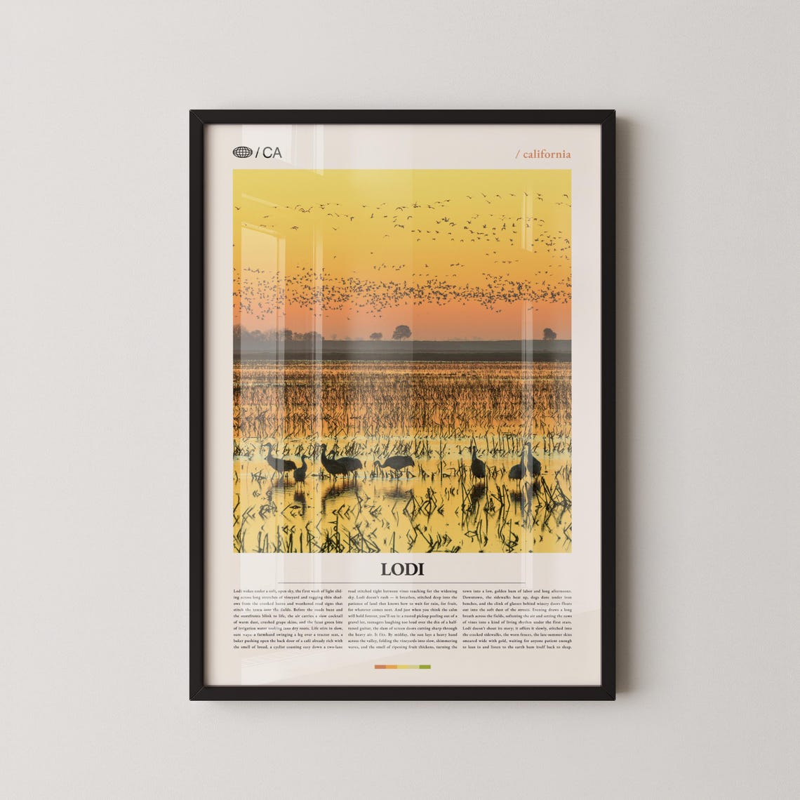 Lodi Print Wall Art Poster Photo Lake Micke Grove Park Wine Trail Downtown