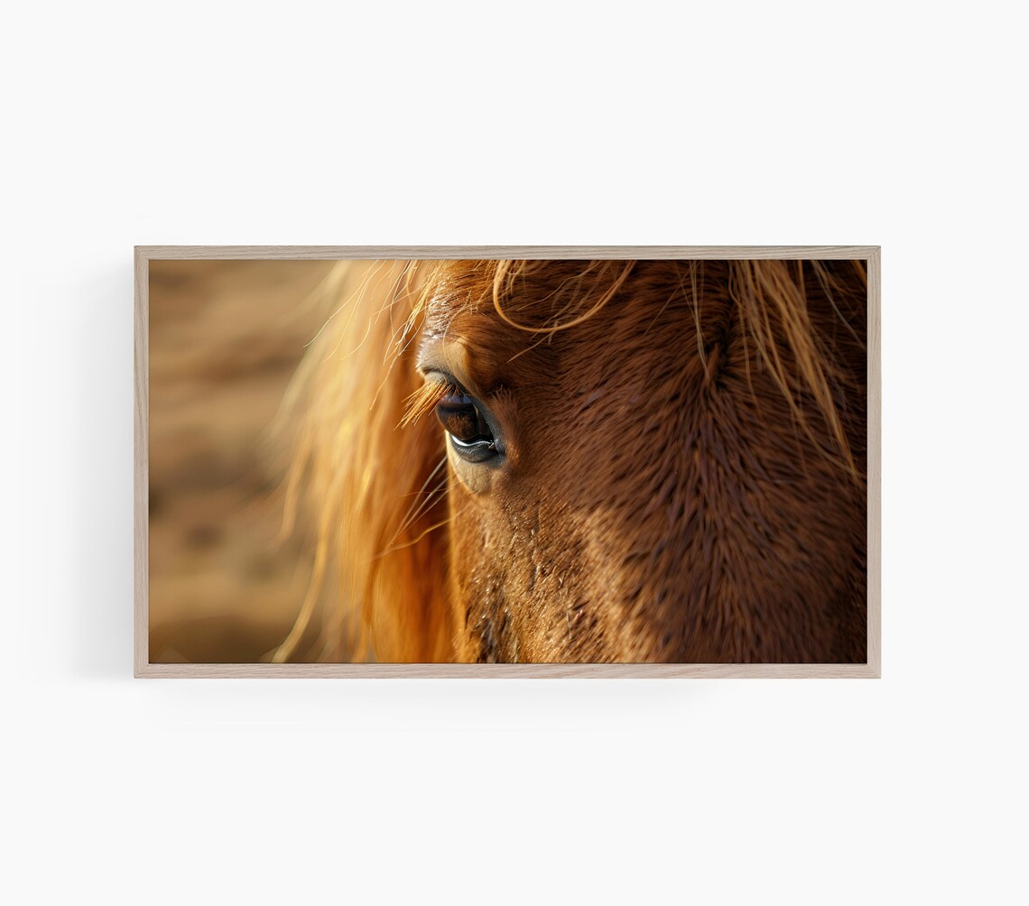 Chestnut Horse Eye Close Up Warm Golden Equine Portrait Poster