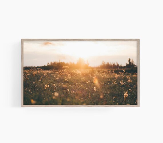 Golden Sunset Over Wildflower Meadow Warm Summer Field Glow Nature Wall Art