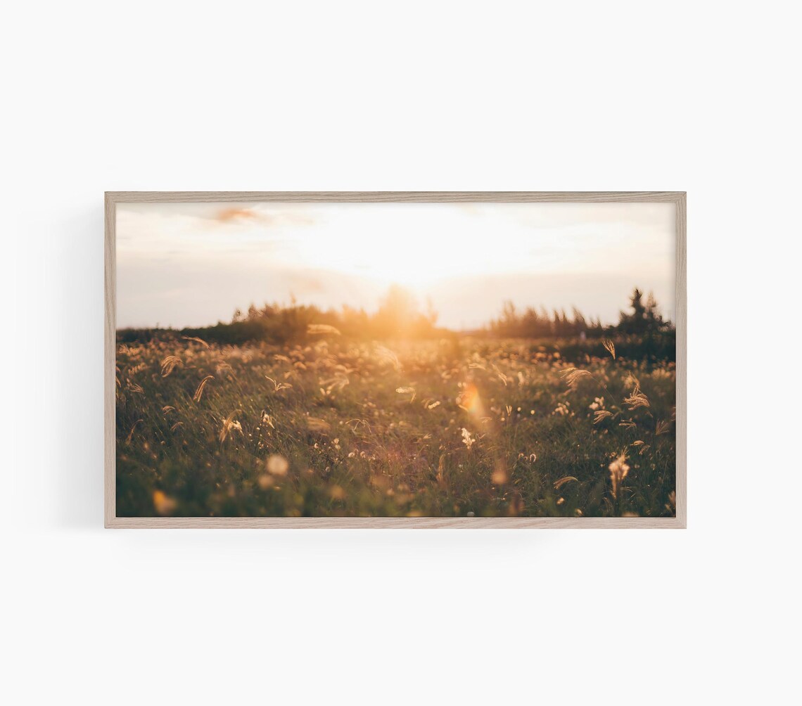 Golden Sunset Over Wildflower Meadow Warm Summer Field Glow Nature Wall Art