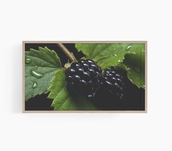 Blackberries After The Rain Frame Tv Art Print Rustic Frame Tv Art Fruit Frame Tv Farmhouse Tv Art Print Twelveonecollective