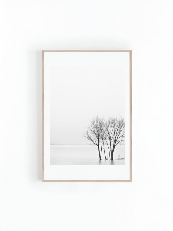 Black And White Photograph Of Tree On Lake Wall Arts Large Posters Trees Submerged In Lake Scenic Photo Print Instant