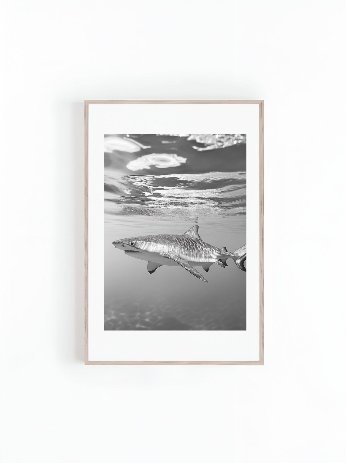 Black And White Tiger Shark Gliding In Bright Shallow Water Poster