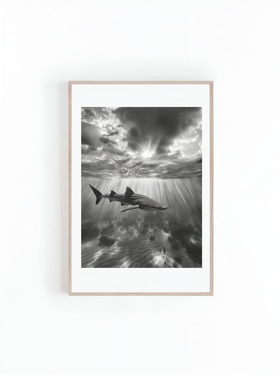 Whale Sharks Black And White Photograph, Poster Print