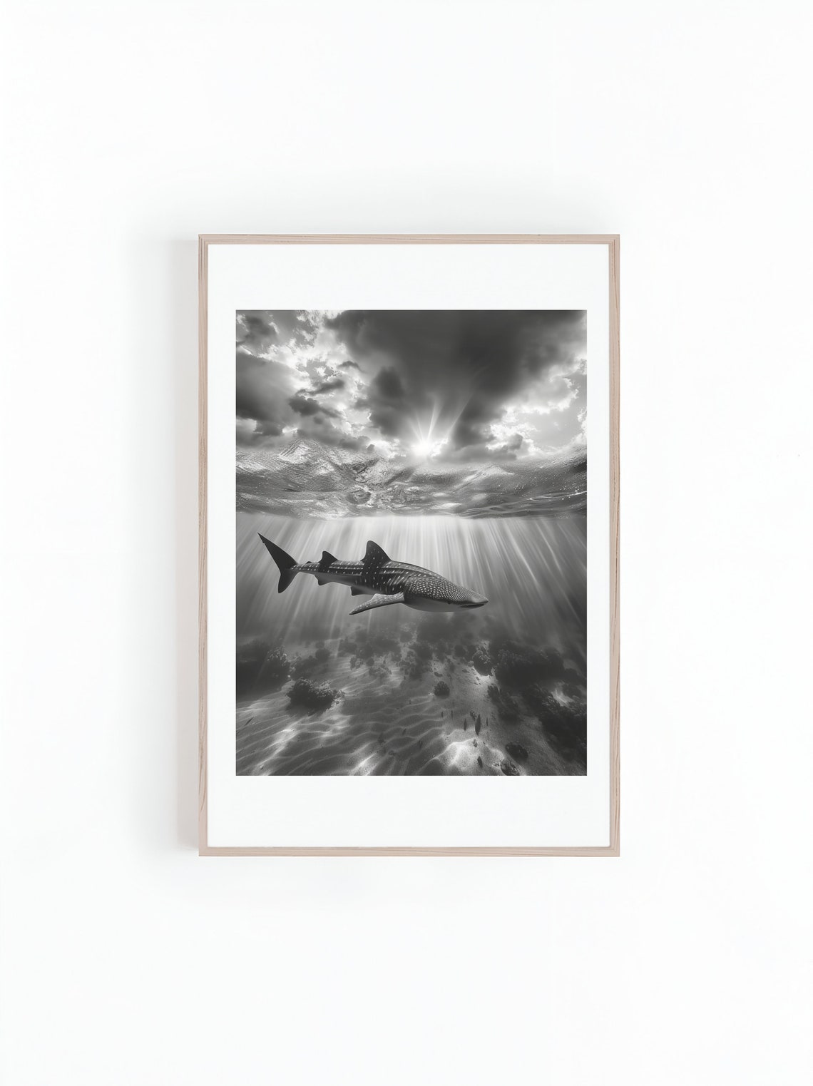 Whale Sharks Black And White Photograph, Poster Print