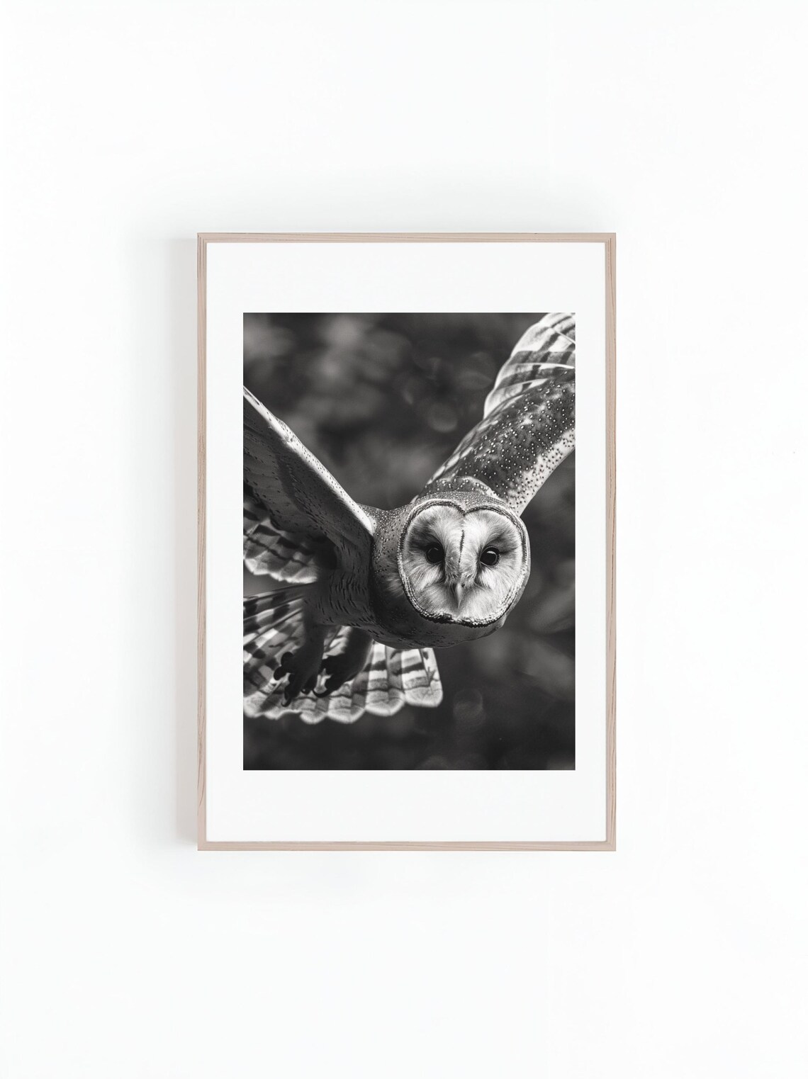 Owl In Flight, Cute Animal Photo Poster Print