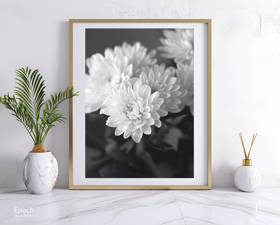 Chrysanthemum Flower, Black And White Floral Art Print