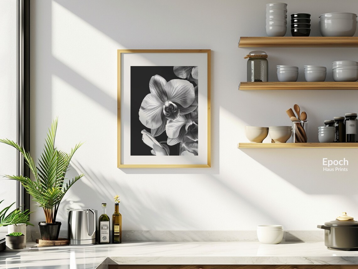 Orchid Flower Photo, Black And White Floral Art - Image 3