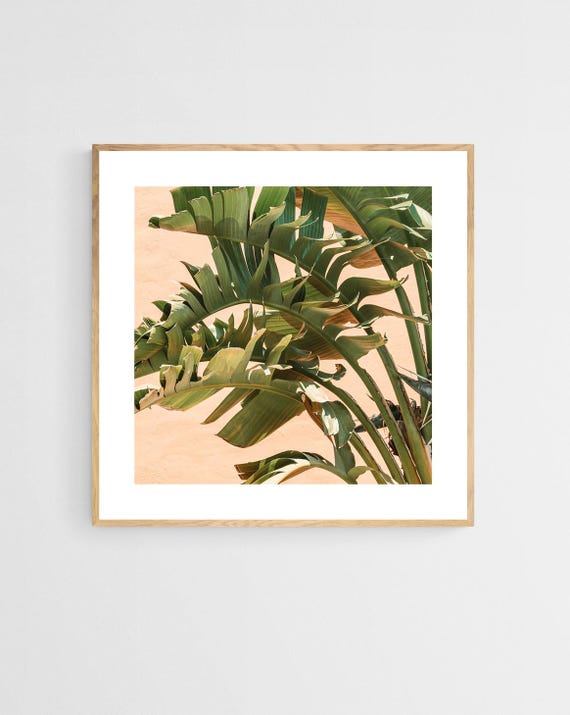 Banana Leaf Art Print, Tropical Botanical Art