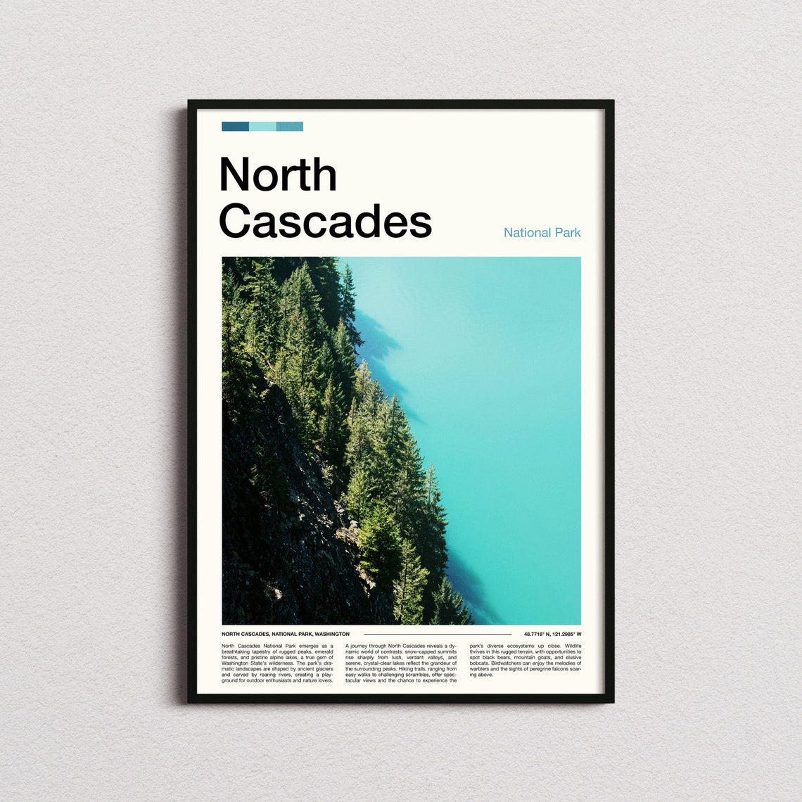 North Cascades National Park Turquoise Lake Aerial Photo Poster