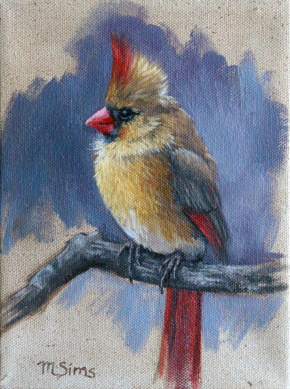 Female Cardinal Bird Painting, Bird Art Print by Molly Sims