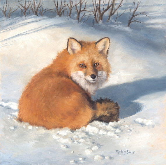 Red Fox Curled In Snow Winter Woodland Wildlife Painting Poster