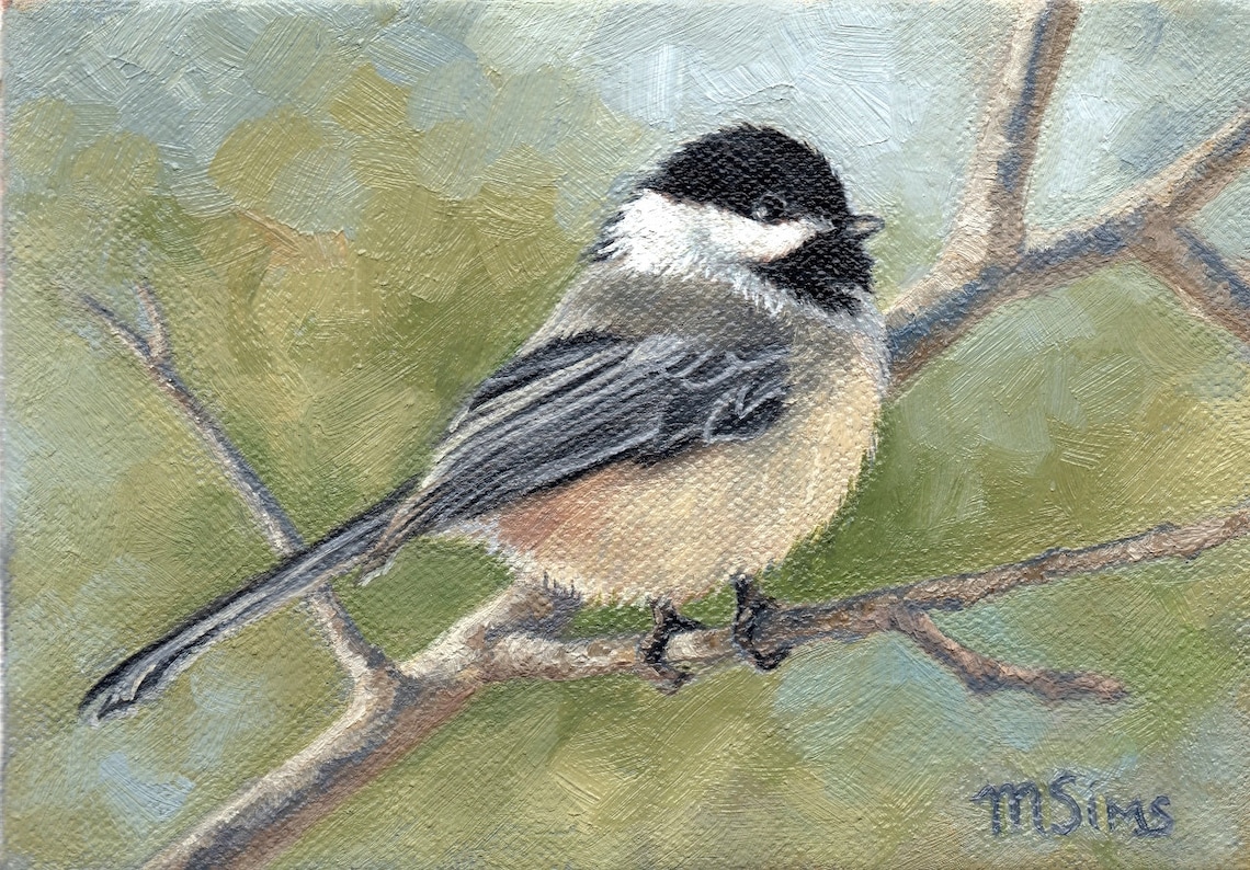 Chickadee Bird Art Print, Wildlife Bird Study