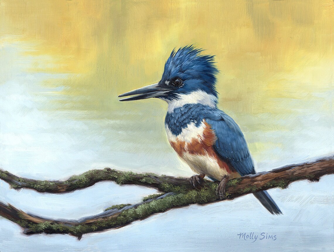 Kingfisher Realistic Bird Painting Art Print by Molly Sims
