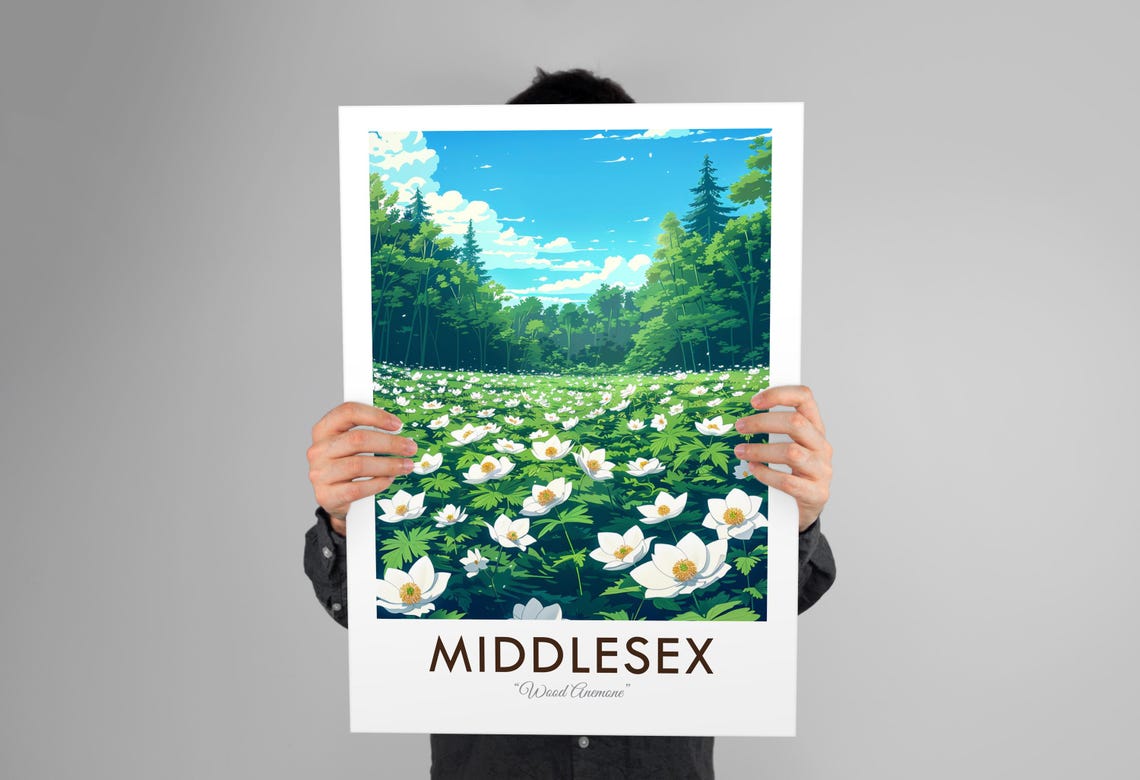 Middlesex Wood Anemone Wildflower Meadow Vintage Botanical Poster - Image 3