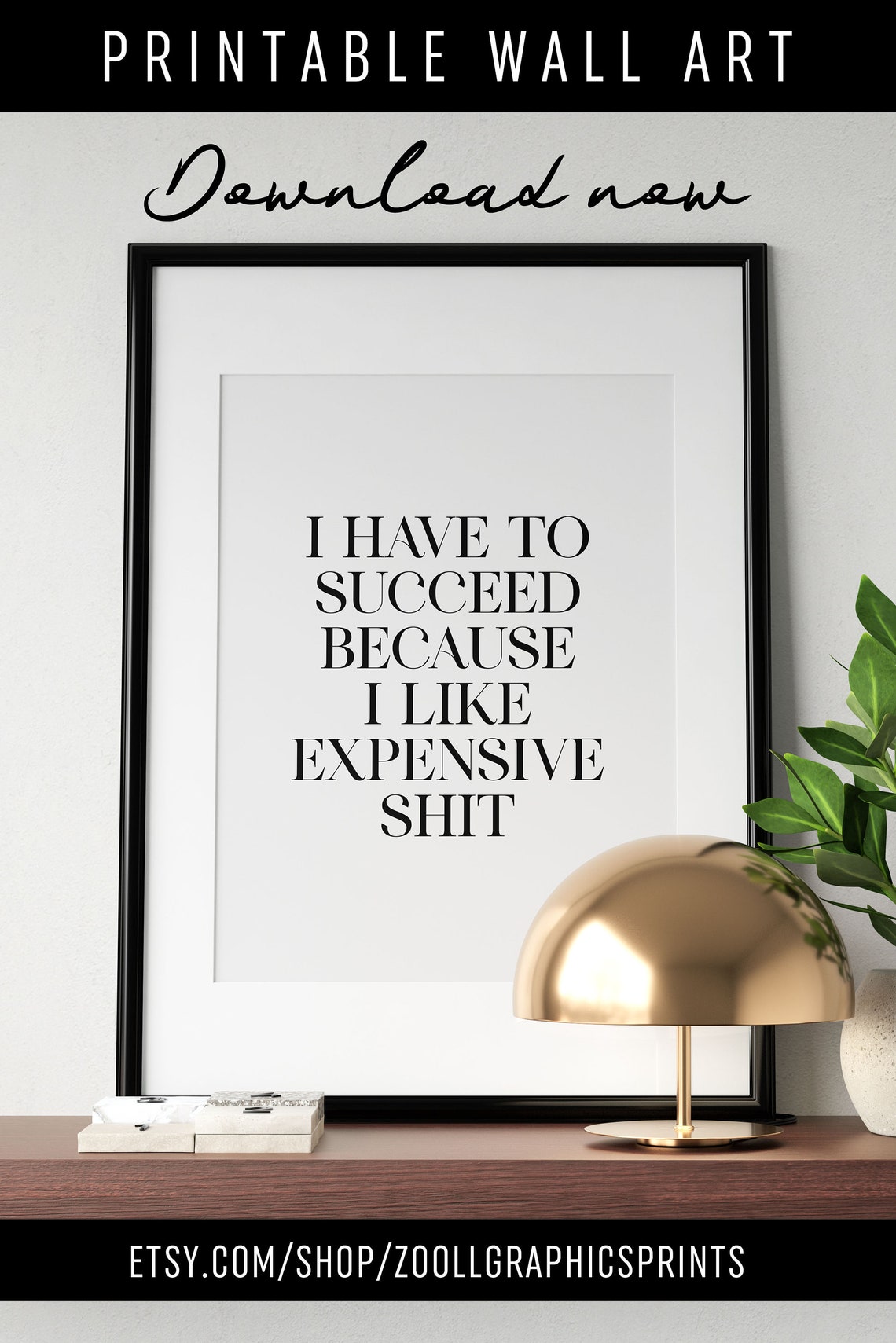 I Have To Succeed Because I Like Expensive Shit Funny Poster - Image 4