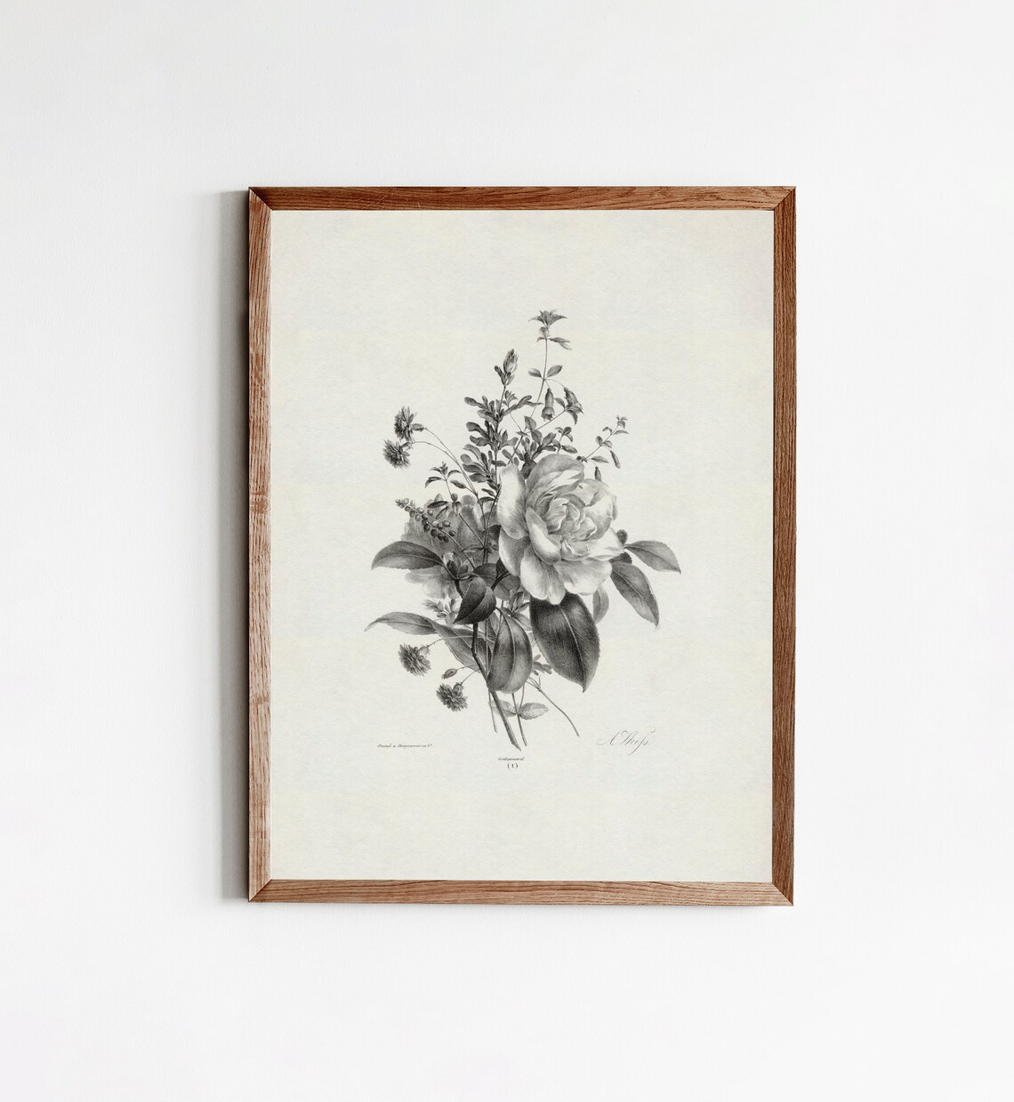 Vintage Botanical Art Print, Antique Neutral Wall Art - Image 4