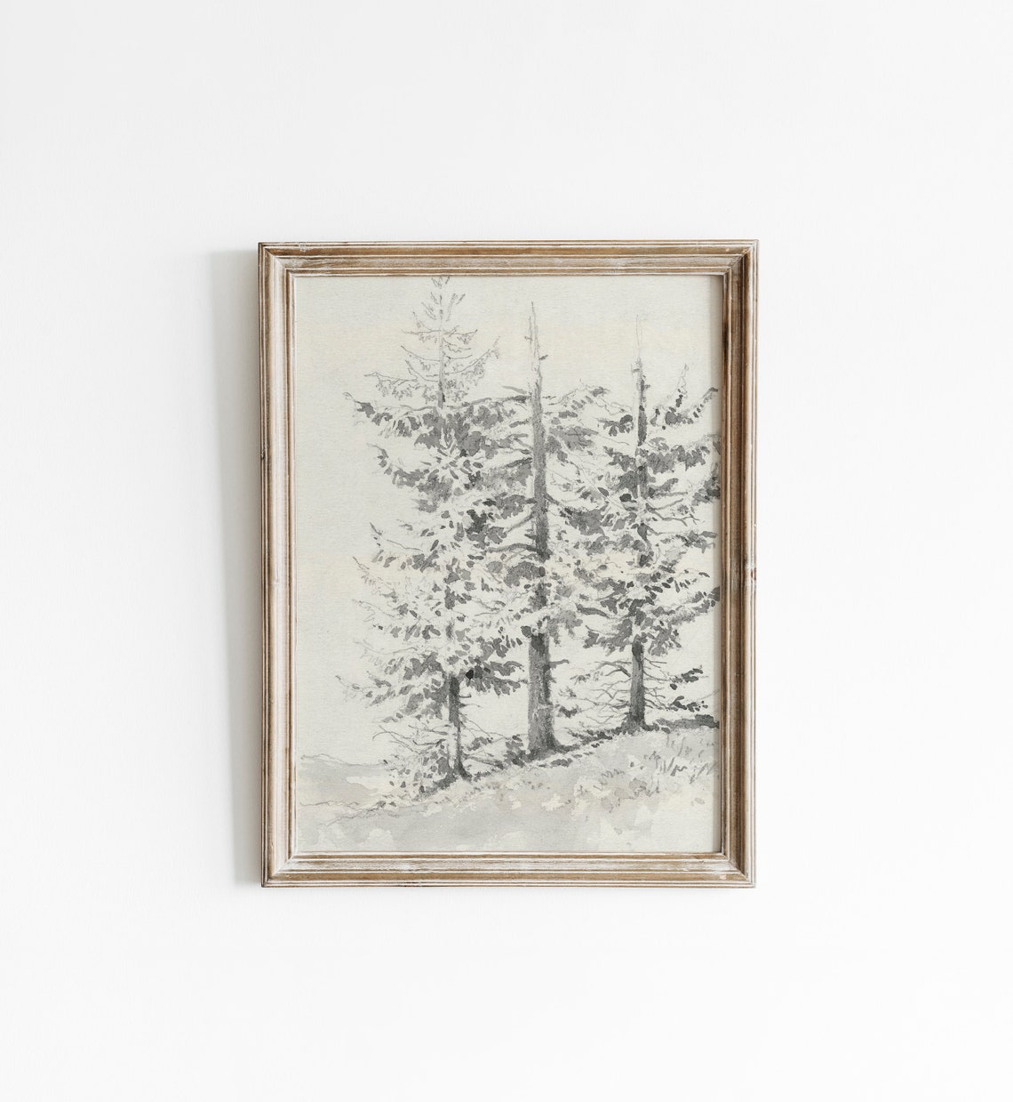 Vintage Winter Pine Tree Ink Sketch Black White Neutral Wall Art - Image 5