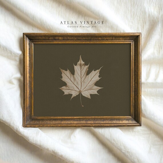 Antique Maple Leaf Skeleton Dark Botanical Vintage Fall Poster