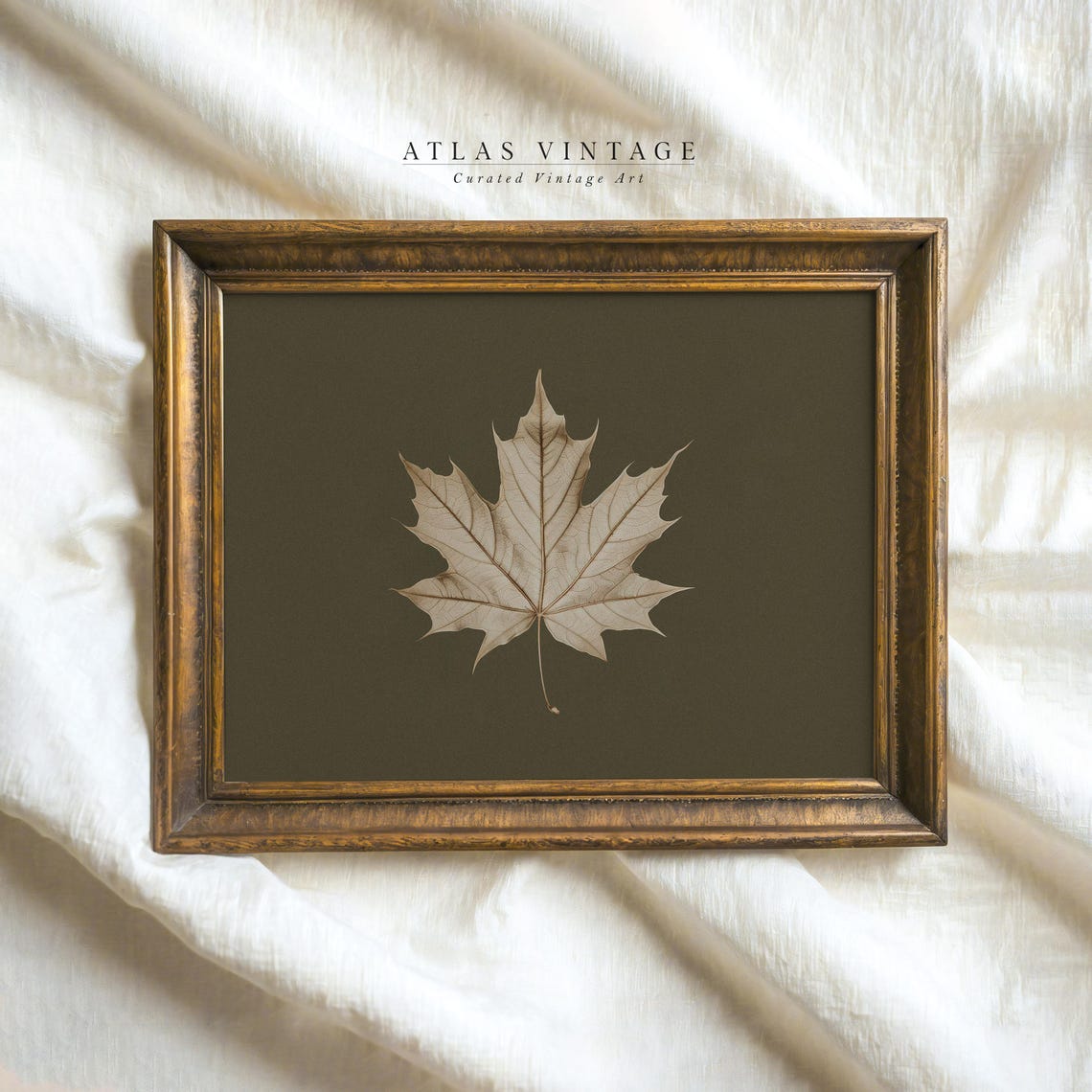 Antique Maple Leaf Skeleton Dark Botanical Vintage Fall Poster