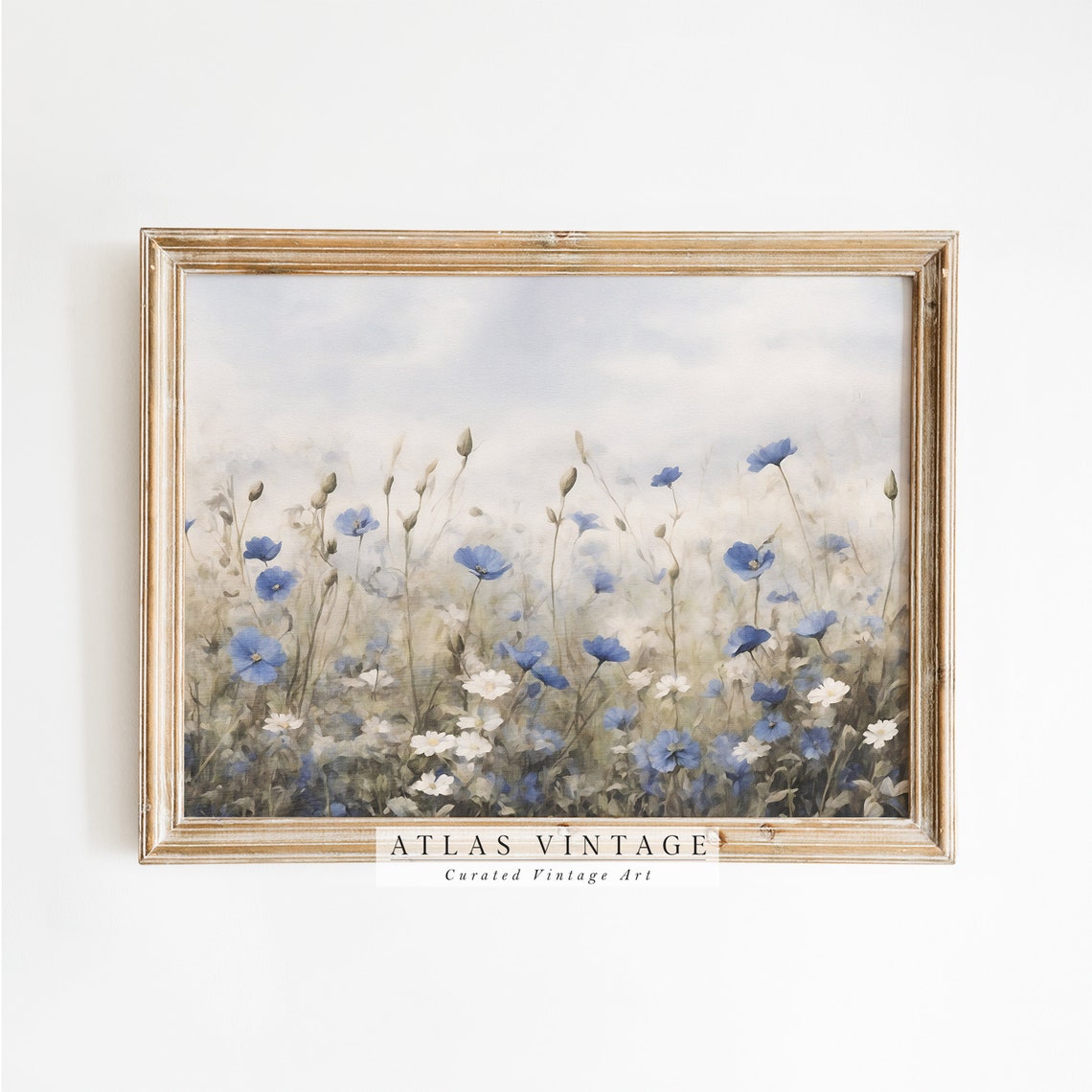 Blue Wildflowers Field with Cornflowers Summer Meadow Poster