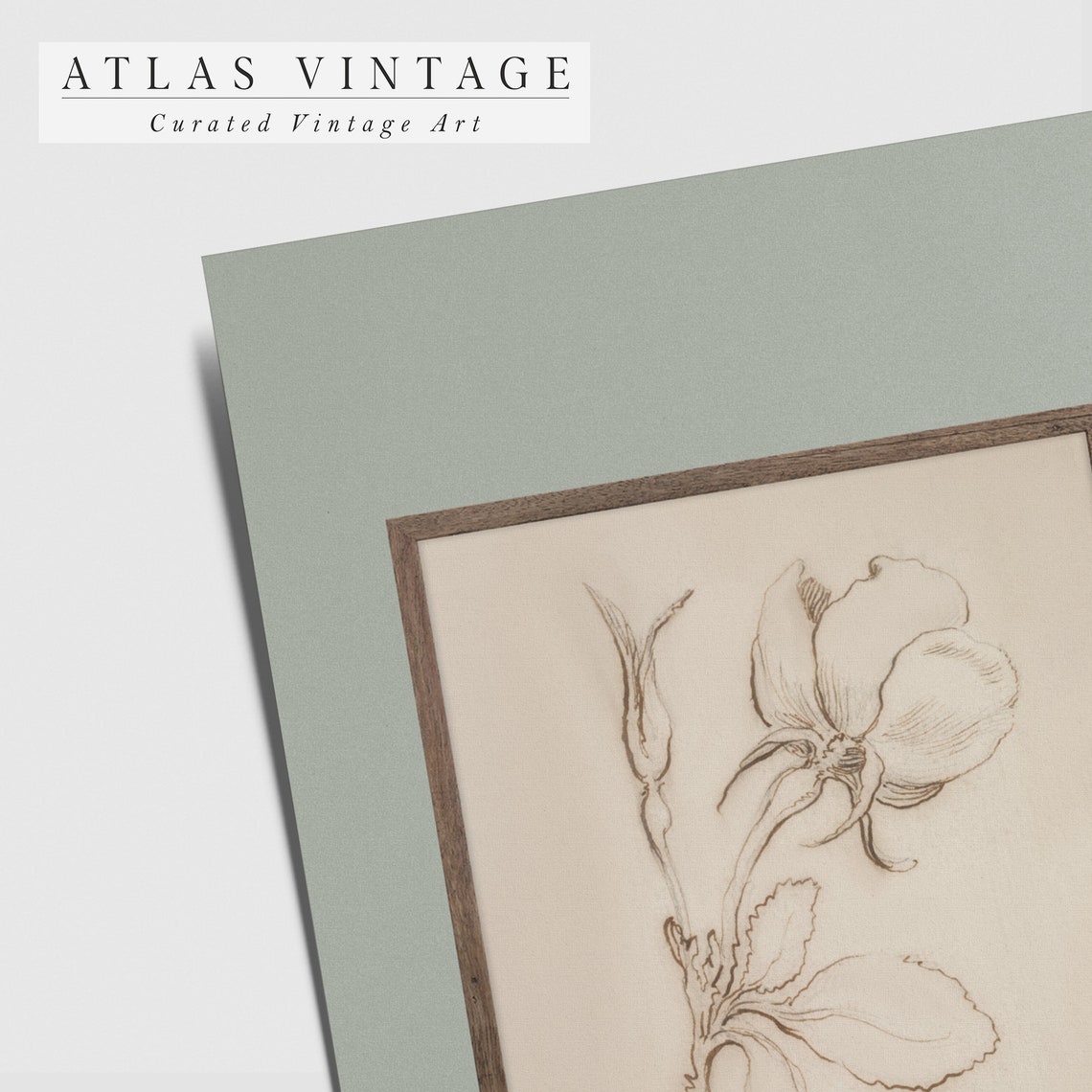 Minimalist Sepia Rose Sketch Line Drawing Antique Botanical Wall Art - Image 3
