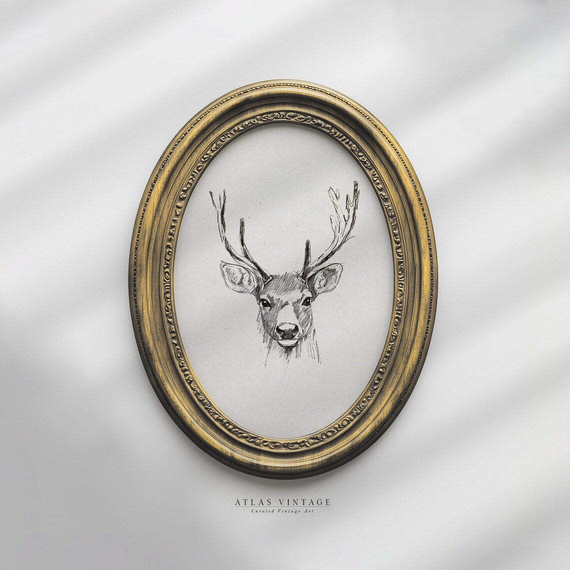 Stag Head Pencil Sketch Minimalist Deer Antlers Oval Art Poster