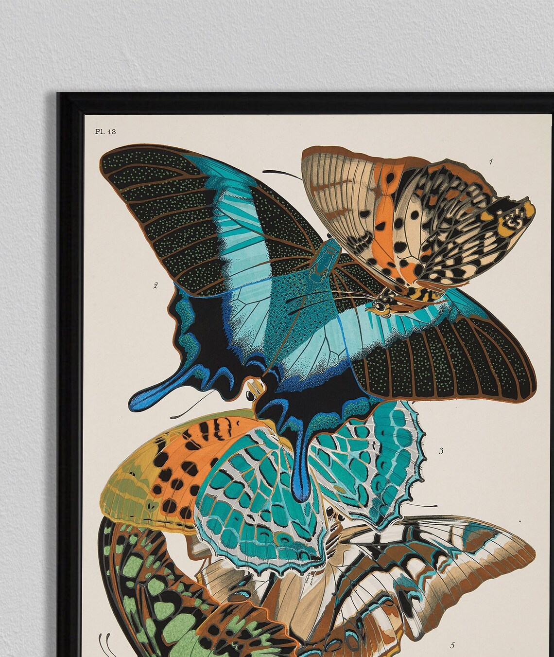 Insect Print, Bumble Bee Butterfly and Wasp Art - Image 3