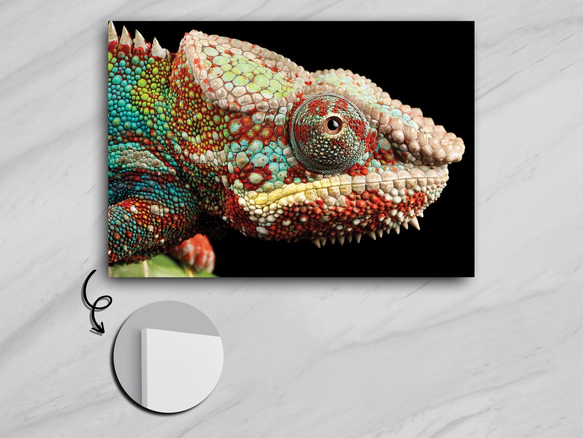 Vivid Chameleon, Detailed Wildlife Reptile Art Print