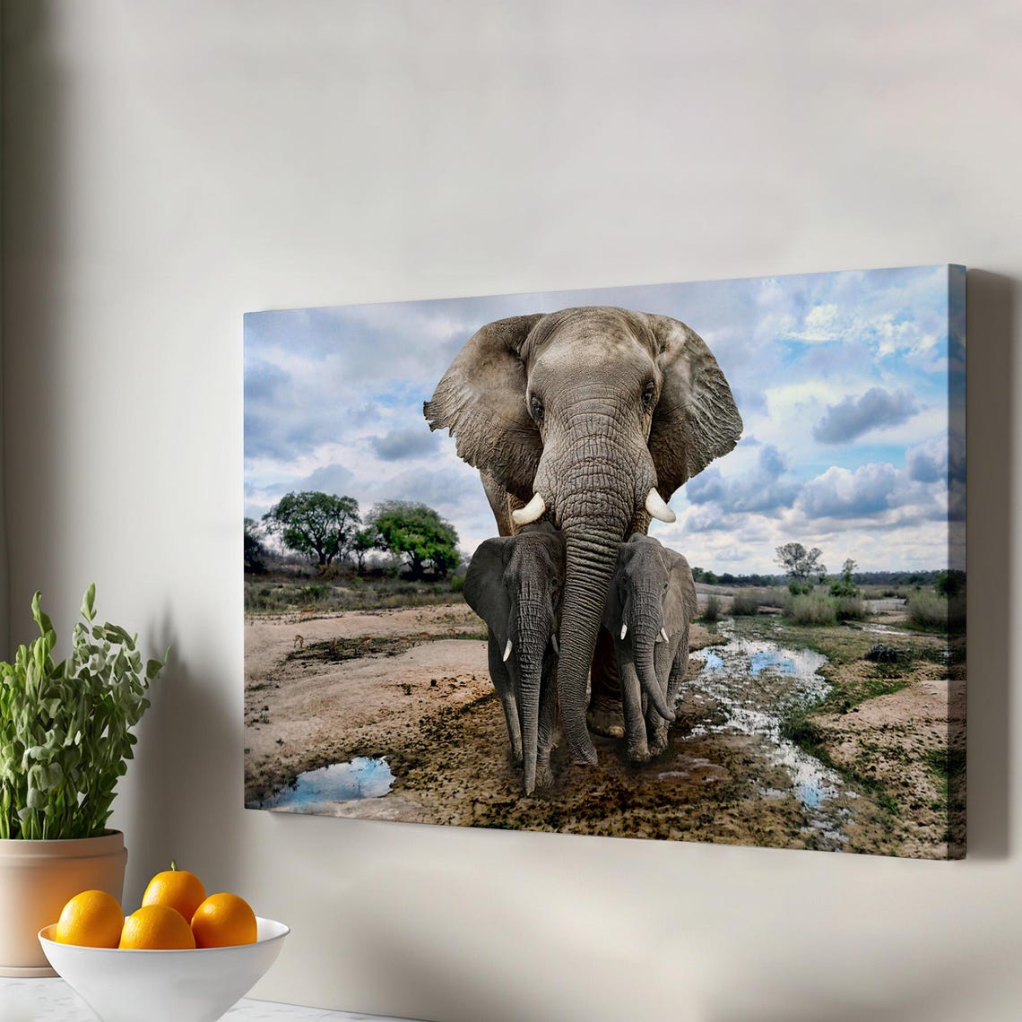 African Elephant Mother And Two Calves Walking Savanna Photo Print