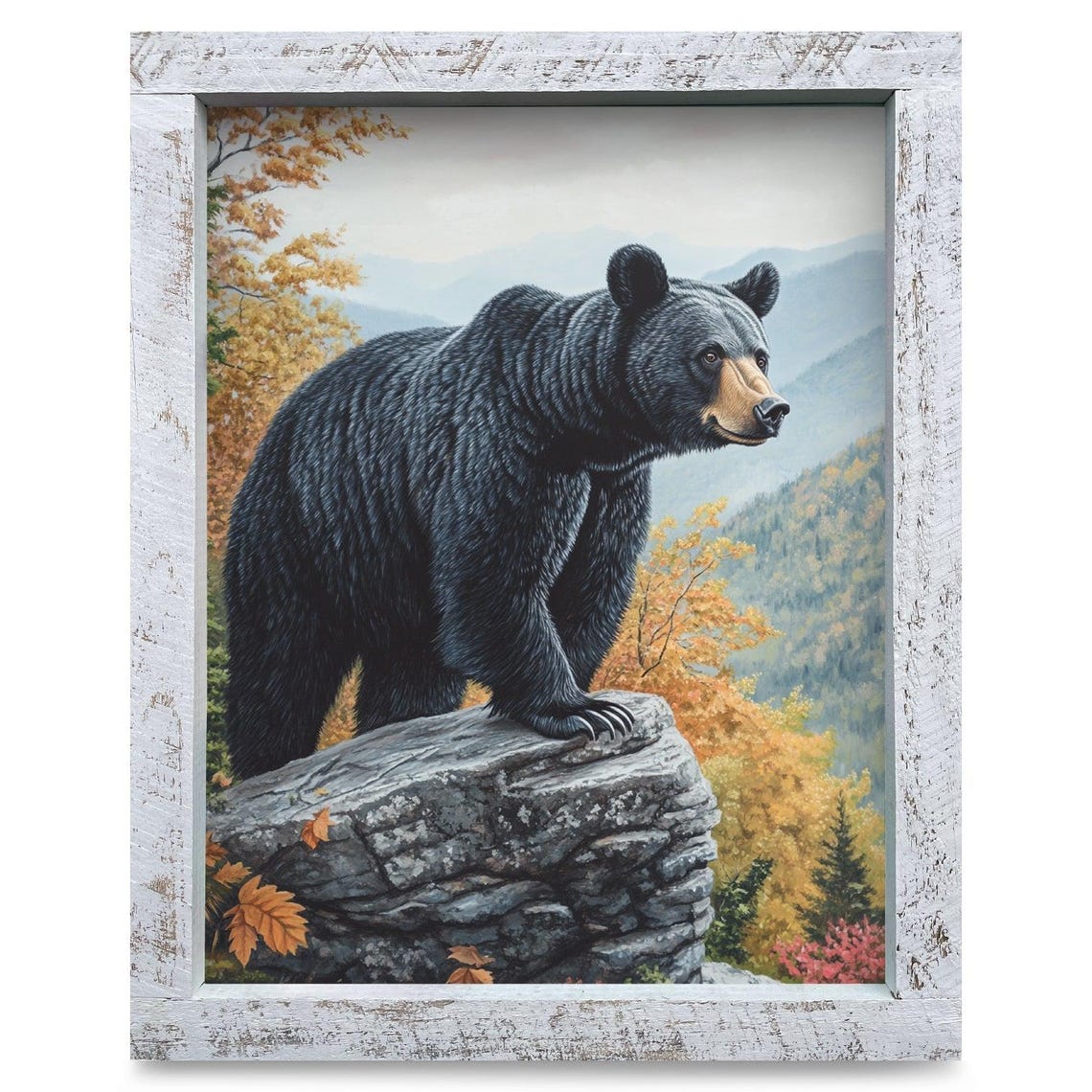 Black Bear Standing On A Rocky Cliff Autumn Wildlife Scene Poster