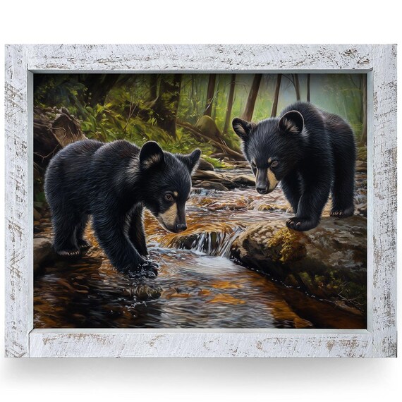 Two Black Bear Cubs Playing in Forest Stream Wildlife Poster