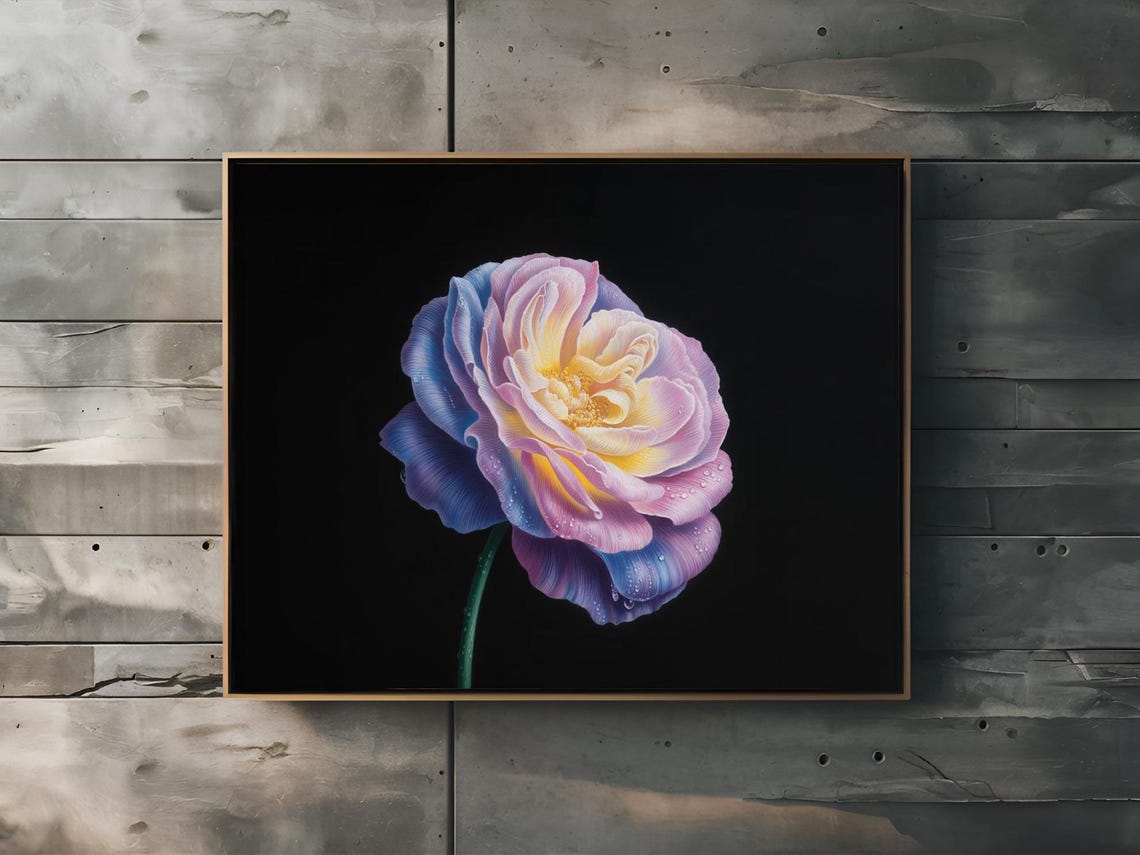 Juliet Rose Overhead View With Dew Drops Purple Pink Wall Art