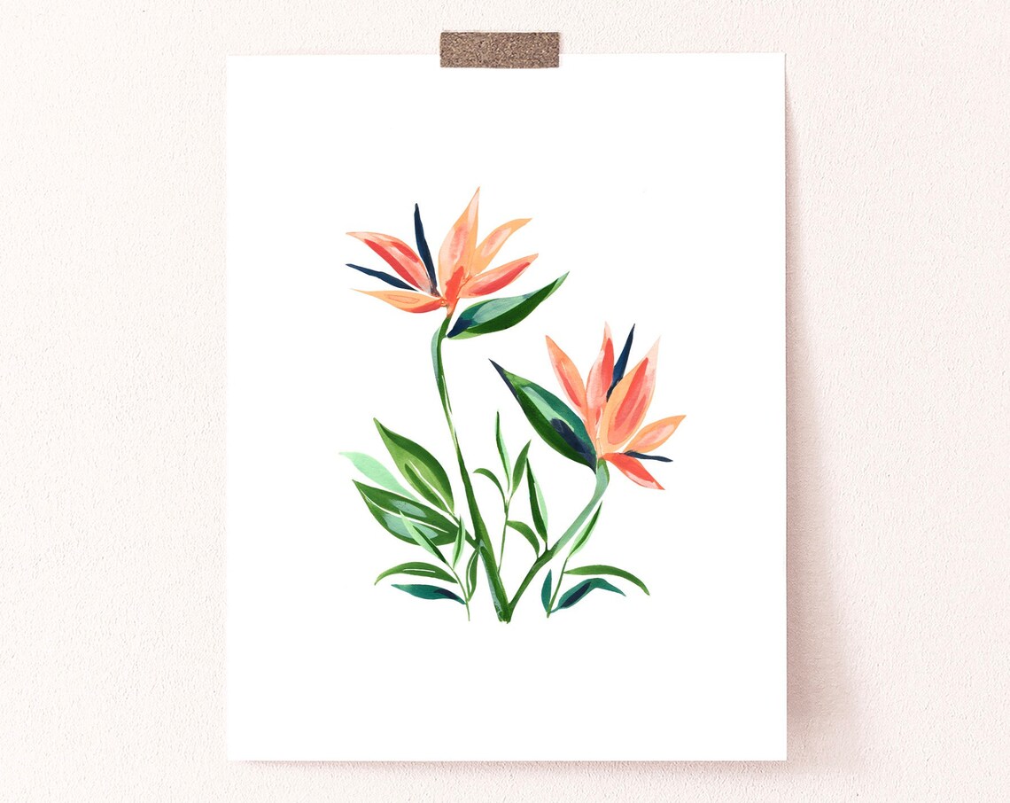 Bird Of Paradise Art Print, Tropical Botanical Wall Art