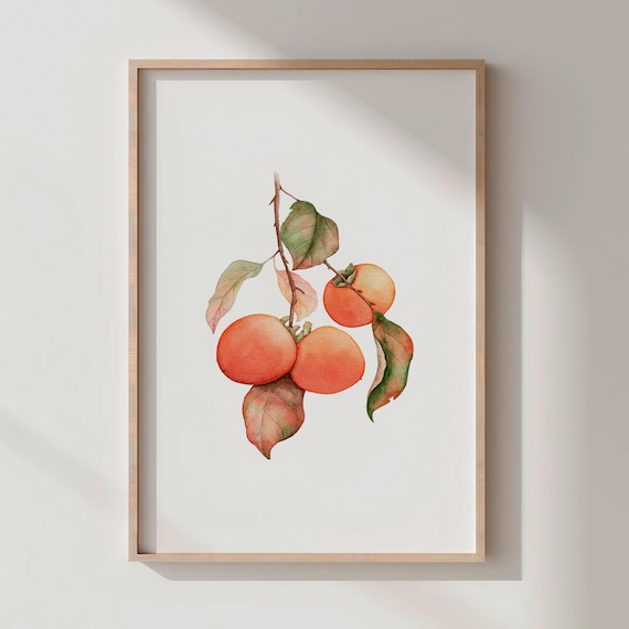 Persimmon Watercolor Print Autumn Kitchen Wall Art