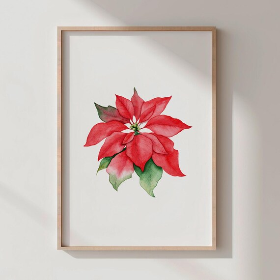 Poinsettia Watercolor Wall Art Christmas Botanical Holiday Home Decor