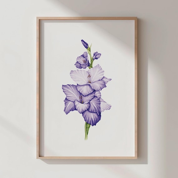 Gladiolus Watercolor Flower Print Botanical Wall Art