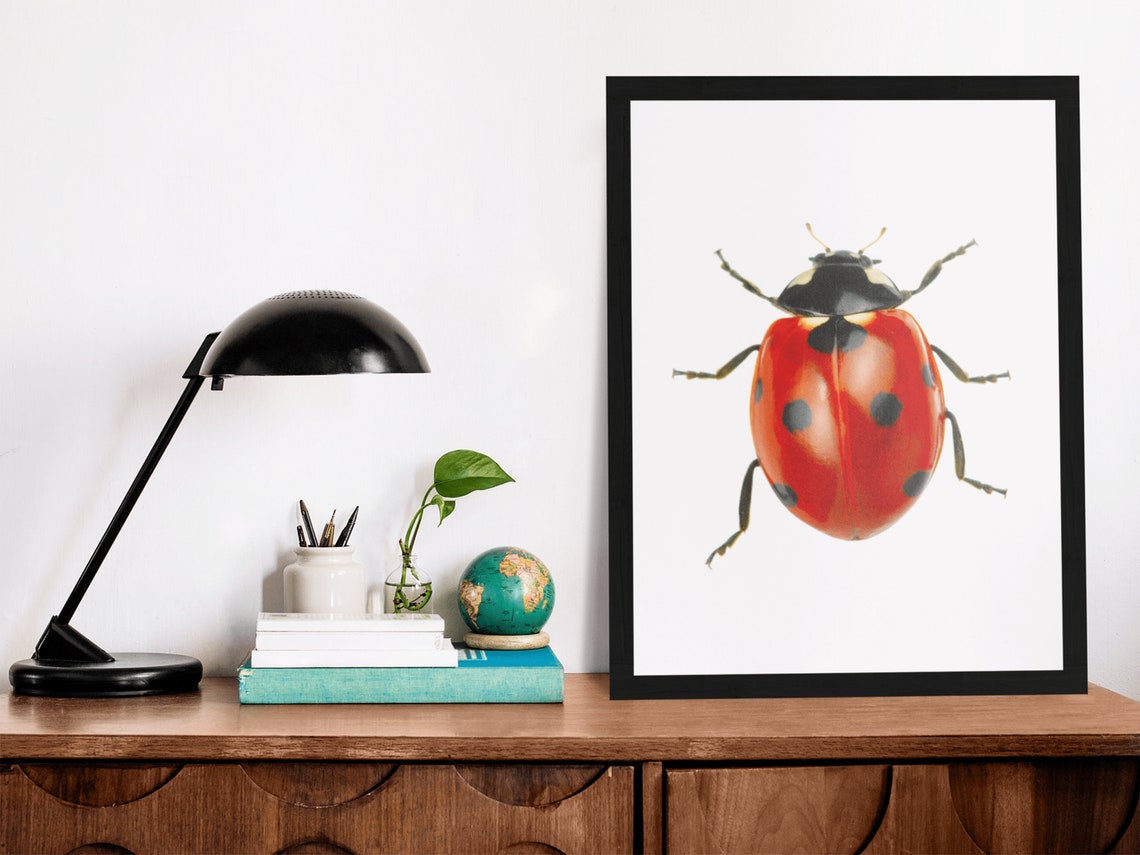 Ladybug Nursery Wall Art Girl Nursery Decor Bugs Kids Poster - Image 4