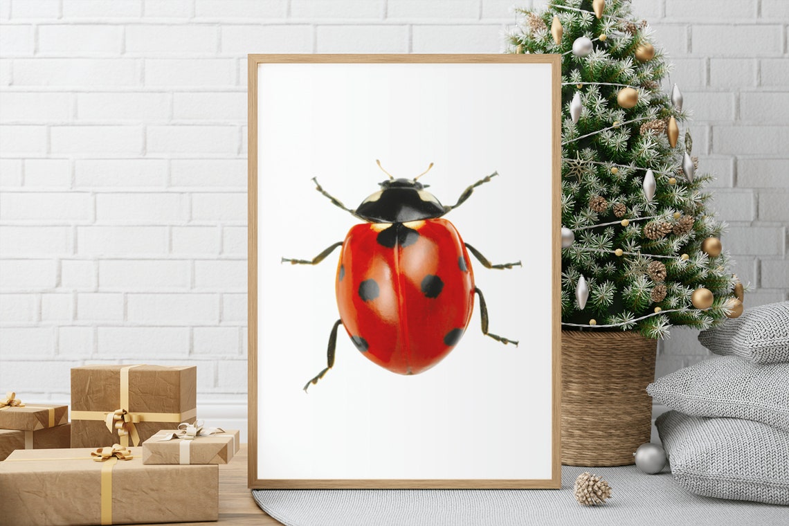 Ladybug Nursery Wall Art Girl Nursery Decor Bugs Kids Poster - Image 6