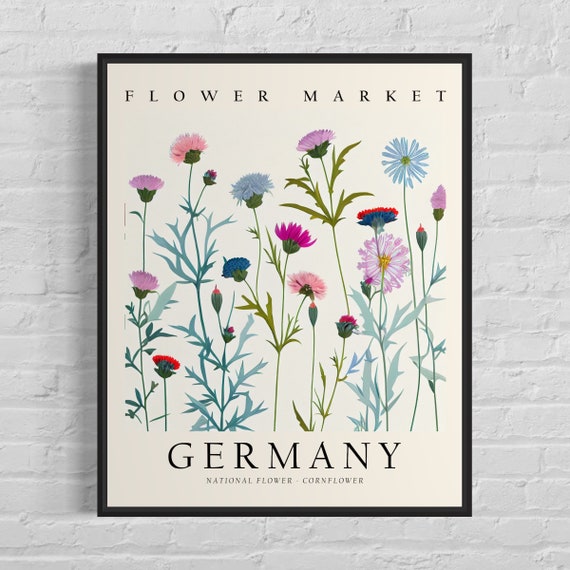 Germany Cornflower Botanical Art Print, 1960s