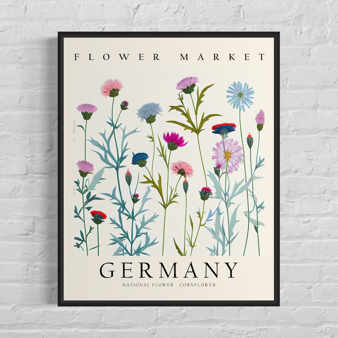 Germany Cornflower Botanical Art Print, 1960s