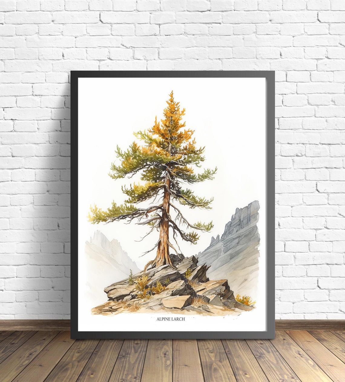 Alpine Larch Mountain Tree Watercolor Botanical Rocky Scene Poster