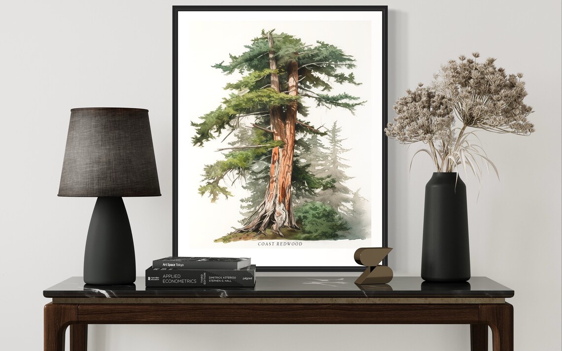 Coast Redwood Tree Art Print, Nature Landscape - Image 3