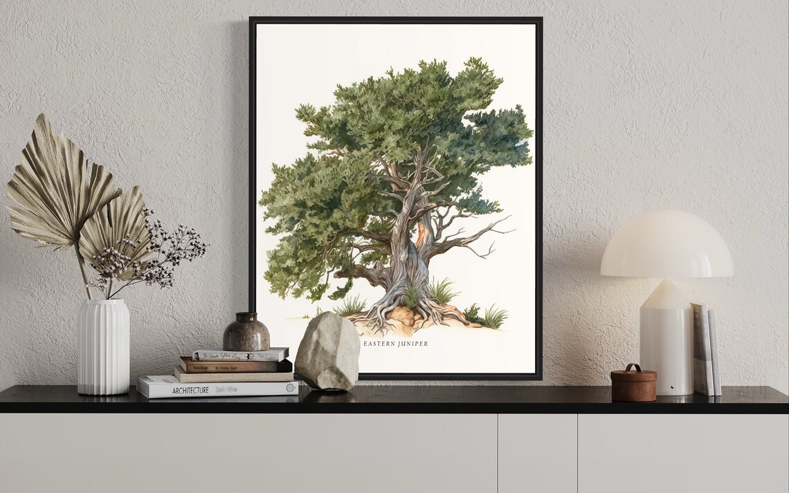 Eastern Juniper Tree Art Print, Nature Landscape - Image 3