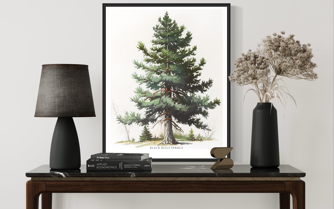 Black Hills Spruce Tree Art Print Black Hills Spruce Tree Wall Art Poster - Image 2