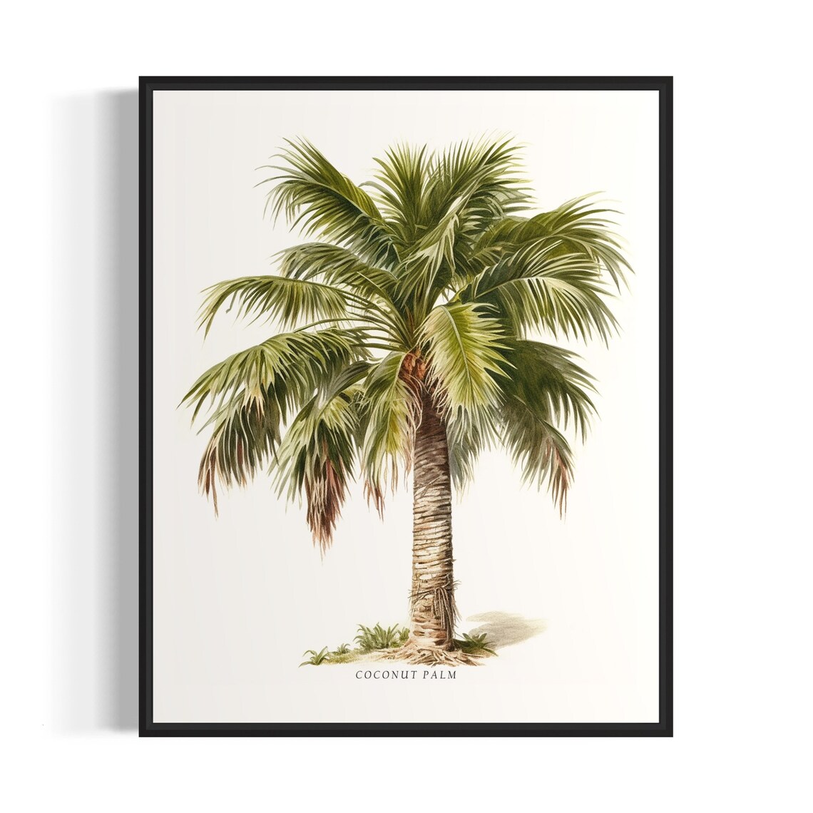 Coconut Palm Tree Art Print Coconut Palm Tree Wall Art Poster