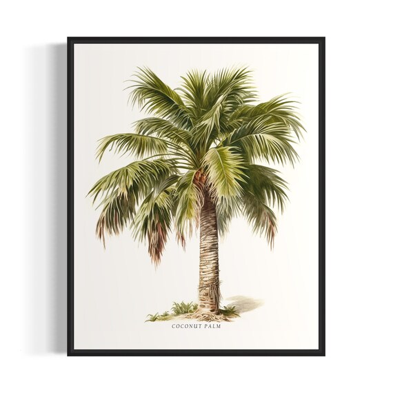 Coconut Palm Tree Art Print Coconut Palm Tree Wall Art Poster