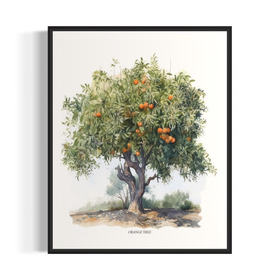 Orange Tree Art Print Orange Tree Wall Art Poster