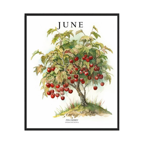 June Tree Month Pin Cherry Art Print Pin Cherry Wall Art Poster